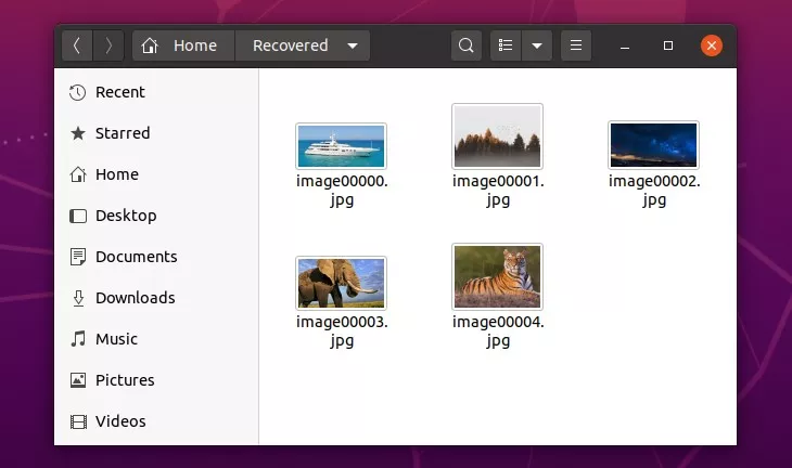 Browsing the jpg photos that recoverjpeg was able to recover