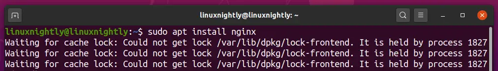 Could not get lock error on Ubuntu