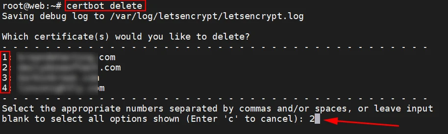 Terminal output prompting for deleting a site in cerbot