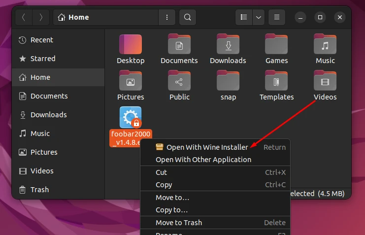 Opening foobar installer with wine