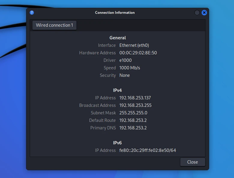 Window showing the system's network information