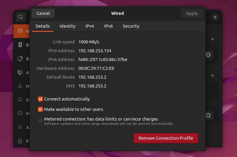 Window output showing IP information on Ubuntu